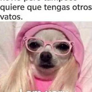 Meet your Posher, Rosa